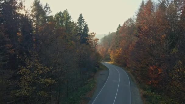 Herbststraße Den Karpaten — Stockvideo
