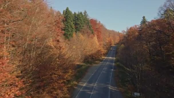 Herbststraße Sturz Den Bergen — Stockvideo