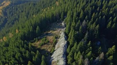 kayalar ile yeşil orman.