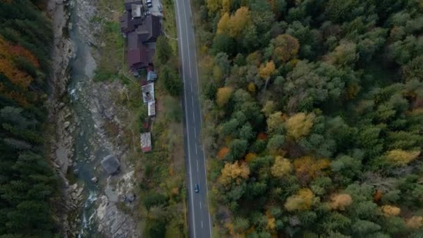 Route de montagne avec voitures. Forêt colorée.