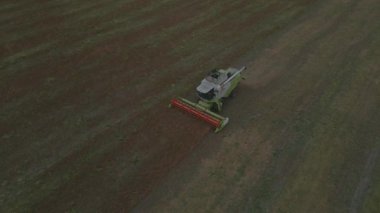 Yeşil bir tarlada tarım hasadı.