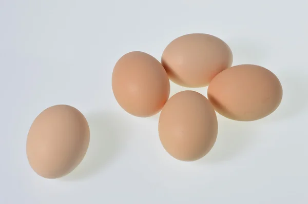 Яйца Стоковое Фото