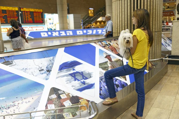 Tel-Aviv-dziewczyna z psem na lotnisku-21 Lipiec-Izrael, 2014 — Zdjęcie stockowe