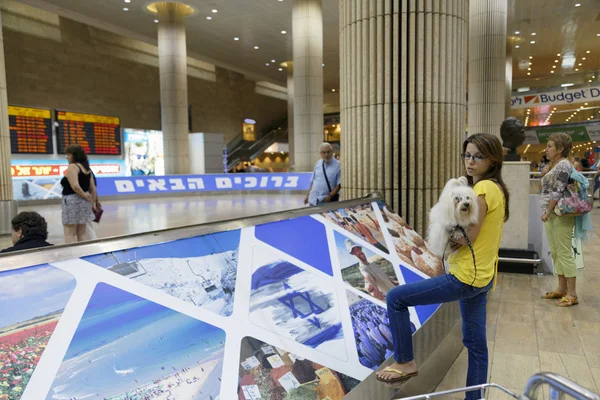 Tel-Aviv - Girl with a dog at the airport - 21 July - Israel, 20 — Stock Photo, Image
