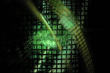 soyut arkaplan, 3 boyutlu illüstrasyon, grafik ve tasarım sanat projeleri için çok renkli fraktal eşsiz kompozisyon. Yüksek kalite