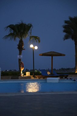  Akşamları palmiye ağaçları, kaliteli fotoğraflar.