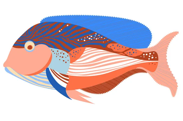 Beyaz arka planda parlak egzotik bir balığı tasvir eden bir çizim. Dekorasyon için bir öge.
