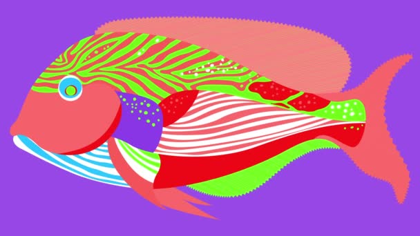 Eine Helle Dynamische Illustration Mit Einem Bild Eines Exotischen Fisches — Stockvideo