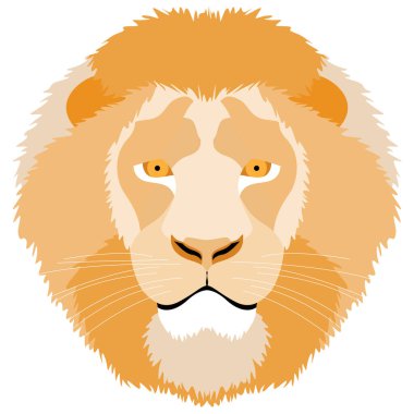 Beyaz arka planda aslan başı. İzole bir nesne. Yazdırma için tasarım.