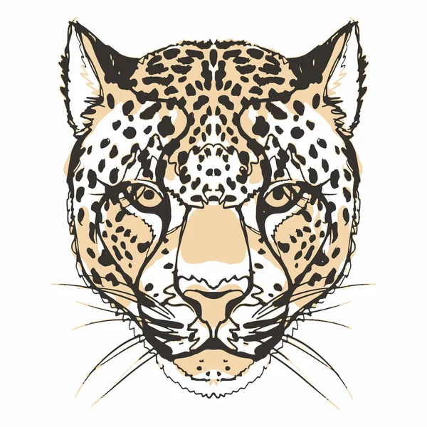 Распечатать Изображением Морды Леопарда Виде Ручного Рисунка — стоковый вектор