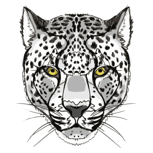 Vector Print Image Snout Snow Leopard Form Hand Drawing — Stock Vector