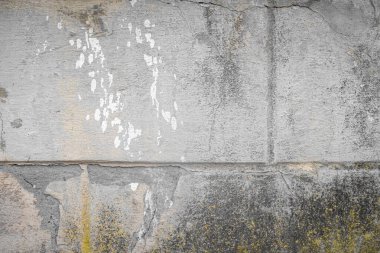 Arka planda delikler olan hasarlı duvar. Yaratıcı bir zemin. Eski, terk edilmiş bina iç kısmı. Çürük tuğlalar ve betonla kaplanmış, boya ve yosun soyulmuş. Kapat, boşluğu kopyala