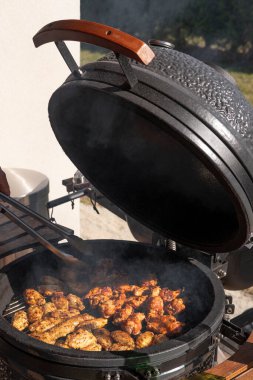 Yumurta ızgarasında ızgara tavuk eti. Shashlik kremado ızgarasında sıcak kömürün üzerinde hazırlanıyor. Bahçe terası barbekü partisi yazın. Terbiye edilmiş tavuk kanatları ve bacakları. Dışarıda yemek pişirmek. Kapat.