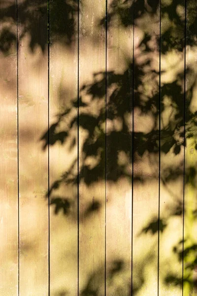 Wooden wall with tree shadow texture background. Beautiful, artistic, scenic backdrop with summer sunlight, blurred shadows and leaves shades on the garden fence. Vertical, soft focus, copy space