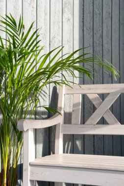 Bulanık gri ahşap arka planda palmiye ağacı ve beyaz bank. Yaz bahçesi terası ve ev dekorasyonu, iç mimari ve tasarım. Tatil, seyahat, dinlenme, dinlenme ve tatil konsepti. Dikey, boşluk