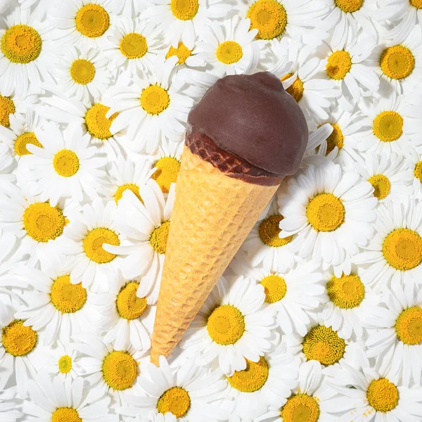 Ice cream cone on white flowers background. Milk chocolate and waffle. Dessert on blooming daisy pillow. Creative summer food. Melting vanilla ice cream. Square, close up, copy space