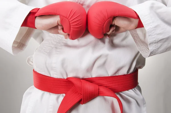 Ready for Fight — Stock Photo, Image