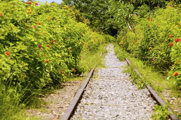 The abandoned railroad — Stock Photo, Image