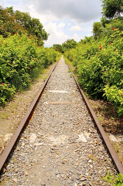 El ferrocarril abandonado — Foto de Stock