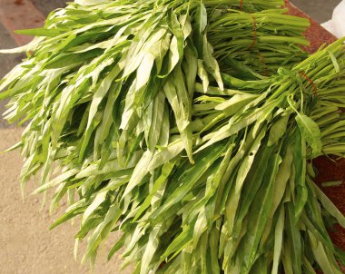 ıspanak (bataklık lahana) tatlı su