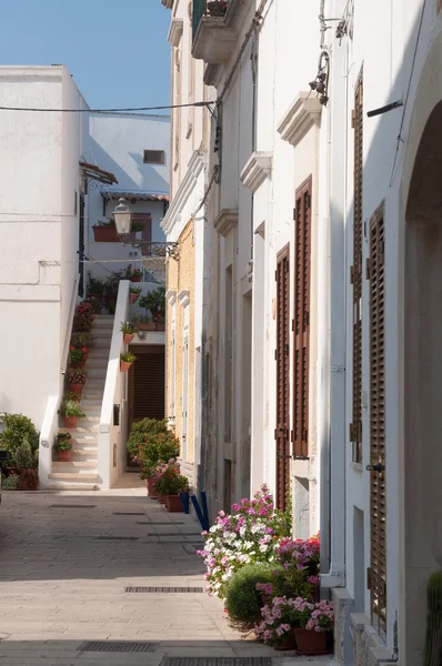 Salento — Foto de Stock