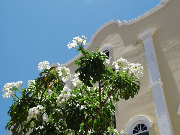 Facade in Willemstad, Curaçao — Stock Photo, Image