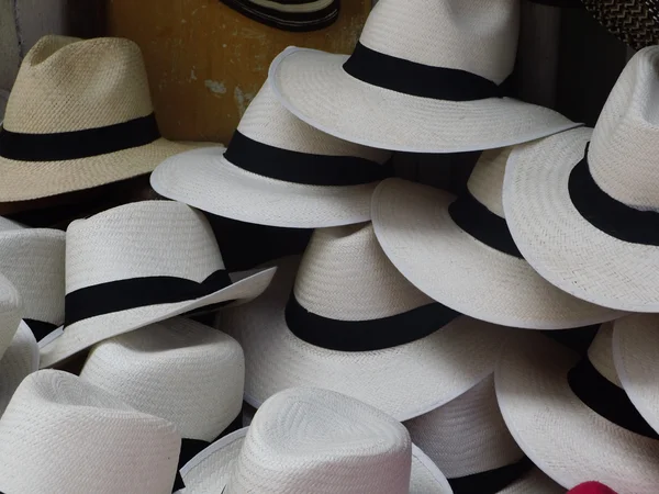 Chapeaux blancs — Photo