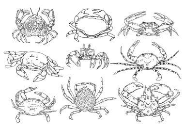 Alyans çizen dövmeli sanat kuşu.