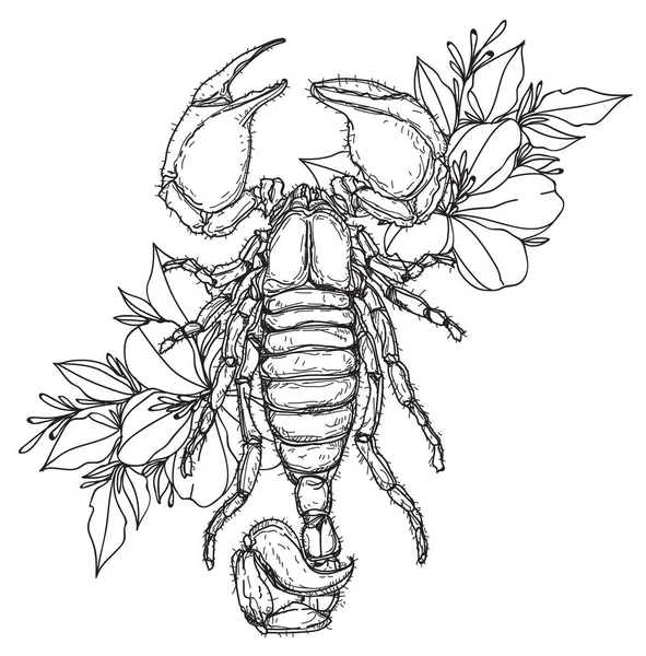 Tatouage Art Scorpion Dessin Main Noir Blanc — Image vectorielle
