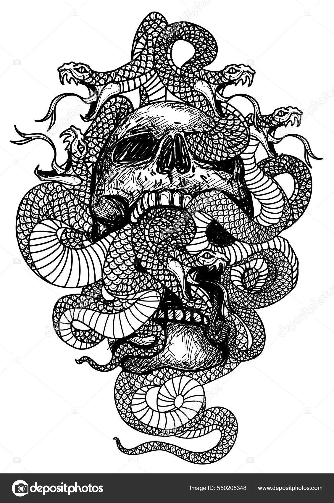 Snake Skeleton Drawing