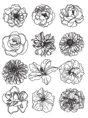 Çiçekler el çizimi çizimi siyah beyaz