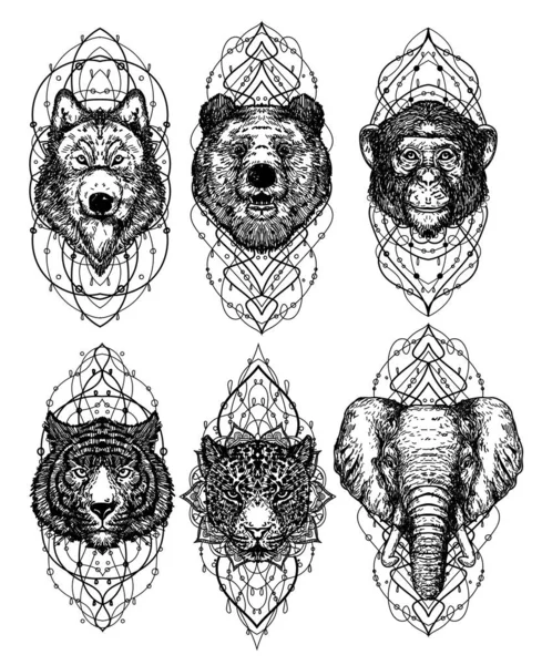 纹身艺术狼猴子老虎和大象手绘素描黑白相间 — 图库矢量图片