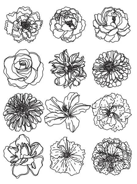 Цветы Нарисуют Черно Белый Рисунок — стоковый вектор