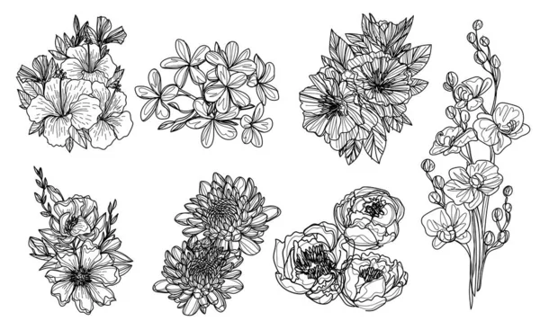 Blumen Set Handskizze Zeichnung Schwarz Und Weiß — Stockvektor