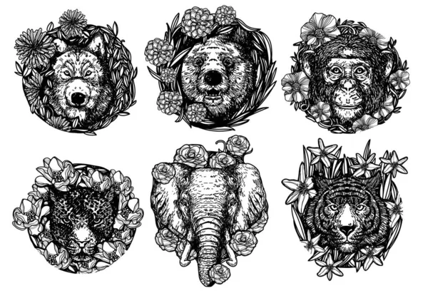 Волк Медведь Обезьяна Тигр Слон Цветочный Ручной Рисунок Набросок Черно — стоковый вектор