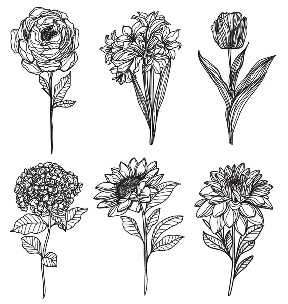 Conjunto Flores Bosquejo Mano Dibujo Blanco Negro — Vector de stock