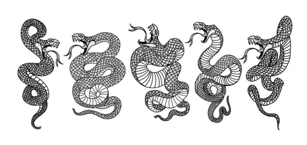 Tatuaje Arte Serpiente Conjunto Dibujo Boceto Blanco Negro — Vector de stock