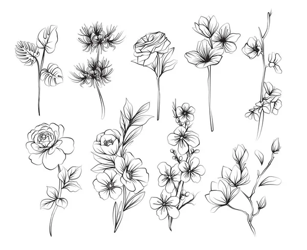 Bloemen Hand Tekening Schets Zwart Wit — Stockvector