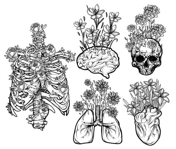 Organes Humains Fleur Plate Set Croquis Noir Blanc — Image vectorielle