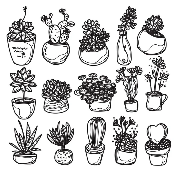 Kaktusové Rostliny Přírodní Prvky Ručně Kreslené — Stockový vektor