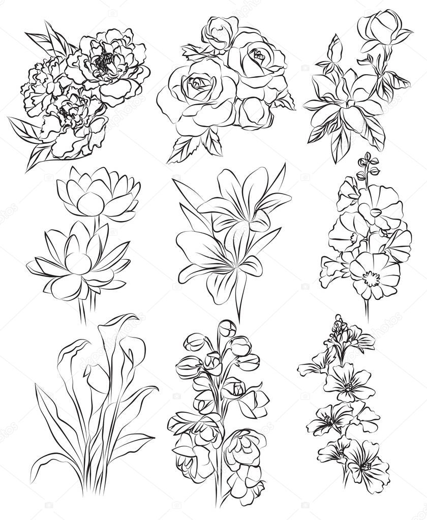 flowers hand drawing set sketch black and white