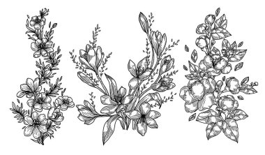 Çiçeklerin el çizimi ve çizimi beyaz arka planda izole edilmiş siyah beyaz.