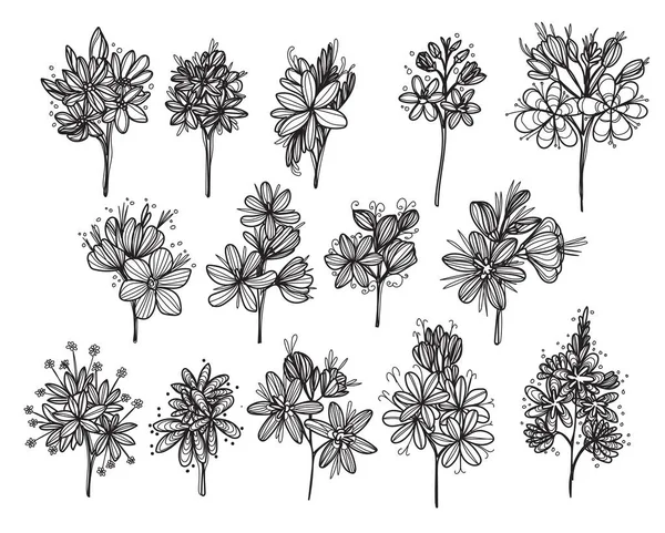 Flores Dibujo Mano Boceto Blanco Negro — Vector de stock