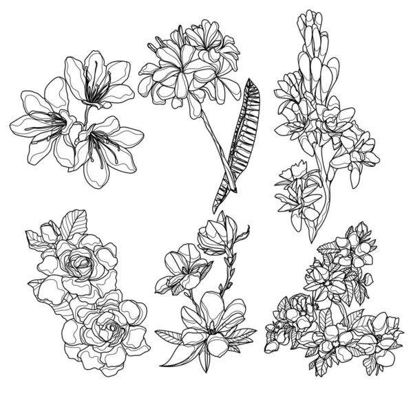 Цветы Ручной Работы Эскиз Черно Белый — стоковый вектор
