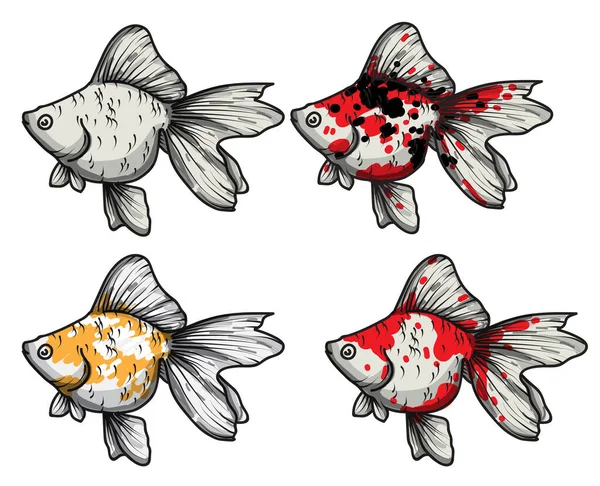 Goldfish Mão Desenho Conjunto Vetor Ilustração Isolado Fundo Branco —  Vetores de Stock