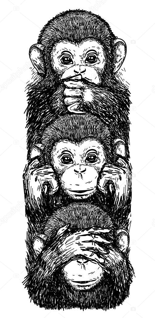 Tattoo art sketch monkeys, ears closed, eyes closed, closed mouth black and white