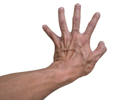 Beyaz arkaplanda insan el işareti izole edildi