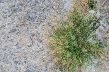 siyah arka plan, eski siyah vignette sınır çerçeve beyaz gri arka plan, vintage grunge arka plan doku tasarım