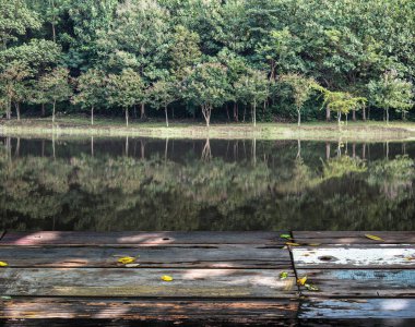 Rüya gibi ve soyut orman manzarası lagününün önündeki klasik tahta masa.
