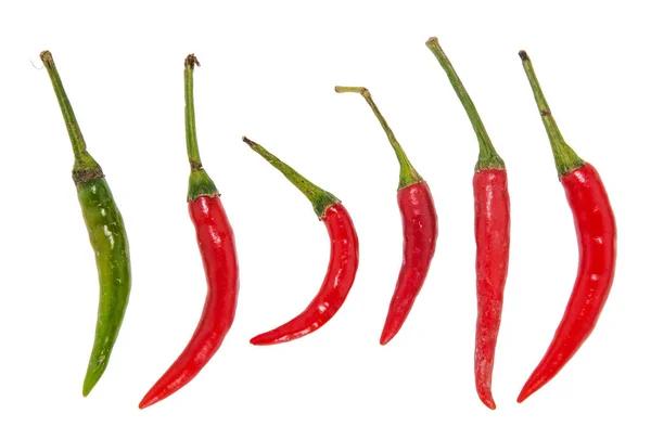 Chili Rojo Sobre Fondo Blanco — Foto de Stock